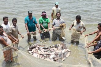 CG : 15 अगस्त तक मत्स्याखेट प्रतिबंधित, नियम तोड़ने पर कारावास या लग सकता है 10 हजार रूपये का जुर्माना!
