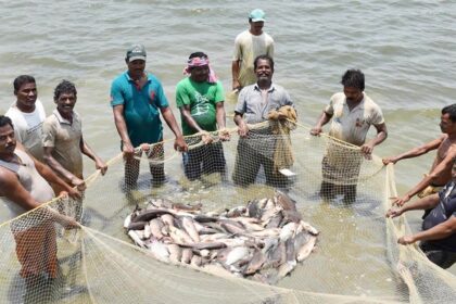 CG : 15 अगस्त तक मत्स्याखेट प्रतिबंधित, नियम तोड़ने पर कारावास या लग सकता है 10 हजार रूपये का जुर्माना!