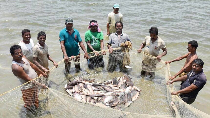 CG : 15 अगस्त तक मत्स्याखेट प्रतिबंधित, नियम तोड़ने पर कारावास या लग सकता है 10 हजार रूपये का जुर्माना!