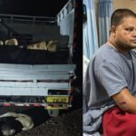 CG CRIME : लकड़ी तस्करों का कहर, डिप्टी रेंजर पर कुल्हाड़ी से किया जानलेवा हमला
