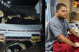 CG CRIME : लकड़ी तस्करों का कहर, डिप्टी रेंजर पर कुल्हाड़ी से किया जानलेवा हमला