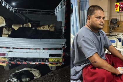 CG CRIME : लकड़ी तस्करों का कहर, डिप्टी रेंजर पर कुल्हाड़ी से किया जानलेवा हमला