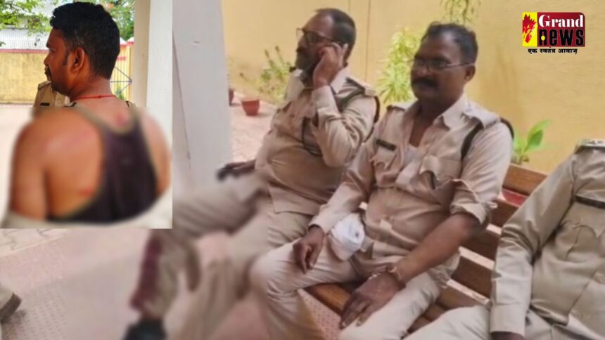 CG News : निरीक्षण करने गए डिप्टी रेंजर समेत चार वनकर्मी को ग्रामीणों ने लाठी-डंडे से पीटा, सभी घायल 