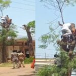 CG NEWS: पेड़ की टहनी काटते वक्त करंट से अधेड़ की मौत, पत्नी का एकमात्र सहारा टूटा, बिजली विभाग और घर मालिक की लापरवाही पर उठ रहे सवाल 