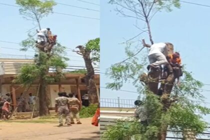 CG NEWS: पेड़ की टहनी काटते वक्त करंट से अधेड़ की मौत, पत्नी का एकमात्र सहारा टूटा, बिजली विभाग और घर मालिक की लापरवाही पर उठ रहे सवाल 