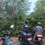 CG NEWS: आंधी-तूफान से तबाही, पेड़ गिरे, बिजली गुल, मेन रोड घंटों जाम, स्थानीय लोगों ने किया सहयोग