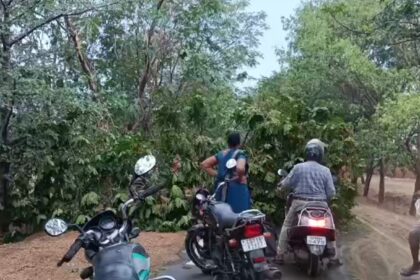 CG NEWS: आंधी-तूफान से तबाही, पेड़ गिरे, बिजली गुल, मेन रोड घंटों जाम, स्थानीय लोगों ने किया सहयोग