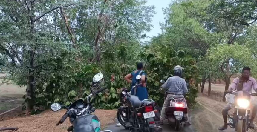 CG NEWS: आंधी-तूफान से तबाही, पेड़ गिरे, बिजली गुल, मेन रोड घंटों जाम, स्थानीय लोगों ने किया सहयोग