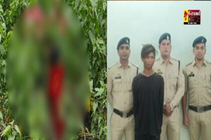 CG CRIME: 9 वर्षीय मासू बच्ची को बहला-फुसलाकर बदमाश ने किया अपहरण, दुष्कर्म के बाद छोड़ा जंगल में, आरोपी गिरफ्तार