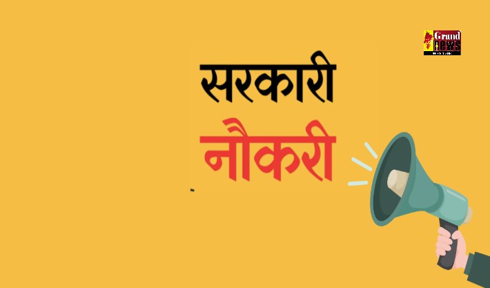 CG Government jobs: 12वीं पास के लिए बड़ी खुशखबरी! छत्तीसगढ़ में निकली 295 पदों पर सरकारी नौकरी, इस दिन से कर सकेंगे आवेदन