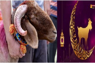 Bakrid 2025: क्यों दी जाती है बकरीद पर कुर्बानी? जानिए इस 4000 साल पुराने त्योहार का इतिहास और तारीख