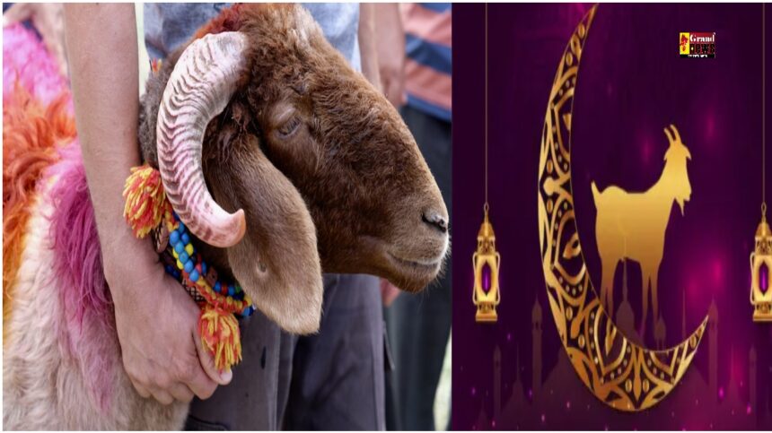Bakrid 2025: क्यों दी जाती है बकरीद पर कुर्बानी? जानिए इस 4000 साल पुराने त्योहार का इतिहास और तारीख