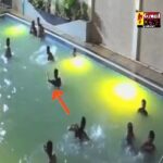 Video : पूल पार्टी में डूबने से युवक की मौत, दोस्तों को मौज-मस्ती के बीच नहीं लगी भनक...