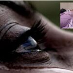 Crime News: 15 हजार की नौकरी और रहना-खाना मुफ्त ! इंस्ट्राग्राम पर दोस्ती कर दिया लालच, 2 नाबालिग बहनें बनी देहव्यपार का शिकार