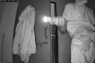 CG NEWS : चोरों का ‘ट्रिपल अटैक’ ! एक ही रात में तीन घर साफ...मुखौटा गैंग के बाद अब ‘सीक्रेट वेकेशन वॉचर्स’ – खाली घरों पर चोरों की पैनी नजर.