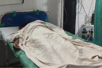 CG BREAKING : कहर बनकर गिरी आसमानी बिजली, नाबालिग और बैल की मौके पर मौत