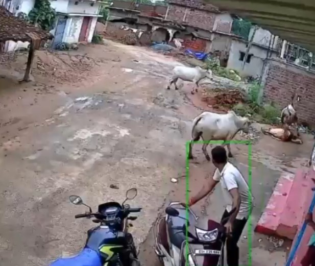 CG Video : गरियाबंद में सांड के हमले में महिला की मौत, रास्ता बदलने से पहले सांड ने ली जान, गांव में मातम