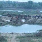 CG NEWS : जांजगीर में रेत माफियाओं के हौसले बुलंद; बिना रायल्टी कर रहे रेत खनन, प्रशासन और खनिज विभाग मौन 
