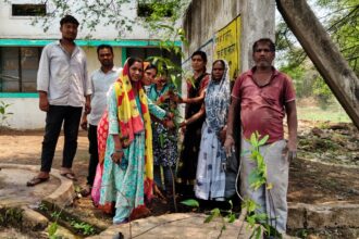 CG : चेउडीह मे मनाया गया पर्यावरण दिवस फलदार वृक्ष लगाकर पर्यावरण संरक्षण का लिया संकल्प