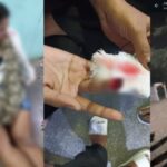 RAIPUR BREAKING : रायपुर के महादेव घाट में बर्थडे पार्टी से लौट रही युवतियों से मारपीट, काट दी ऊँगली, देखें वीडियो