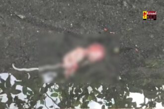CG : माँ की ममता शर्मसार ! नाली से मिले दो नवजात शिशुओं के भ्रूण, इलाके में सनसनी
