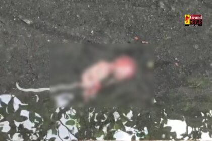 CG : माँ की ममता शर्मसार ! नाली से मिले दो नवजात शिशुओं के भ्रूण, इलाके में सनसनी