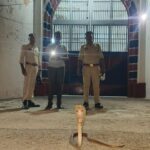 CG NEWS : जिला जेल में निकला कोबरा, मचा हड़कंप