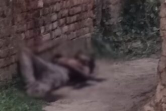 CG MURDER : राजमिस्त्री को उनके बेटे ने ही उतारा था मौत के घाट, अर्धरात्रि आंगन में मिली थी लाश