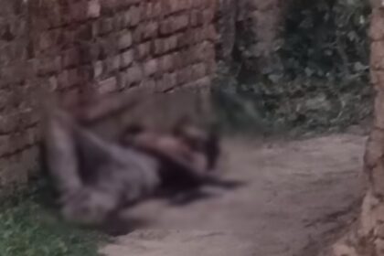 CG MURDER : राजमिस्त्री को उनके बेटे ने ही उतारा था मौत के घाट, अर्धरात्रि आंगन में मिली थी लाश