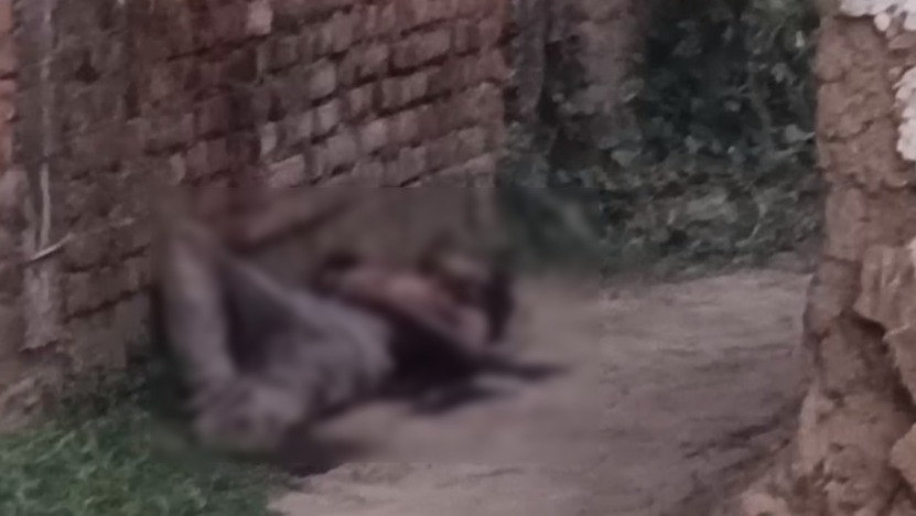 CG MURDER : राजमिस्त्री को उनके बेटे ने ही उतारा था मौत के घाट, अर्धरात्रि आंगन में मिली थी लाश