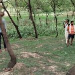 CG NEWS : पेड़ पर लटका मिला युवक का शव, आत्महत्या या कोई साज़िश? जांच में जुटी पुलिस