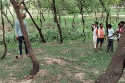 CG NEWS : पेड़ पर लटका मिला युवक का शव, आत्महत्या या कोई साज़िश? जांच में जुटी पुलिस