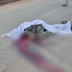 CG ACCIDENT : ड्यूटी से लौट रहे आरक्षक को तेज रफ्तार ट्रक ने कुचला, मौके पर मौत 
