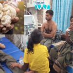 CG : छत्तीसगढ़ में जहरीला मशरूम खाने से 10 लोगों की तबीयत बिगड़ी