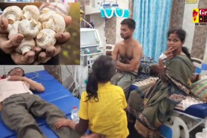 CG : छत्तीसगढ़ में जहरीला मशरूम खाने से 10 लोगों की तबीयत बिगड़ी