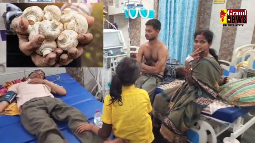 CG : छत्तीसगढ़ में जहरीला मशरूम खाने से 10 लोगों की तबीयत बिगड़ी