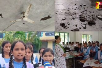 Mahasamund : जान जोखिम में डाल जर्जर भवन में अपना भविष्य गढ़ रहे हैं बच्चें, पढ़िए हमारी खास रिपोर्ट