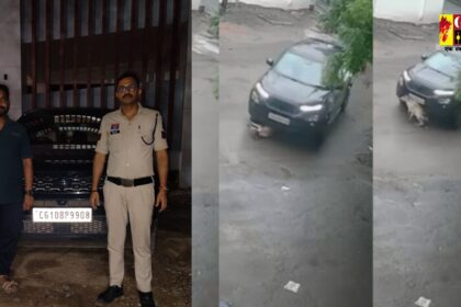 CG NEWS : कार से गाय के बछड़े को कुचलने वाला फरार आरोपी गिरफ्तार