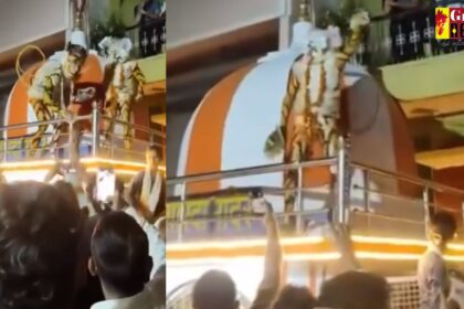CG : माँ शारदा मंदिर की छत पर मन्नती शेर नाच का विवाद, धार्मिक सौहार्द बिगाड़ने वाले तीन युवक गिरफ्तार 