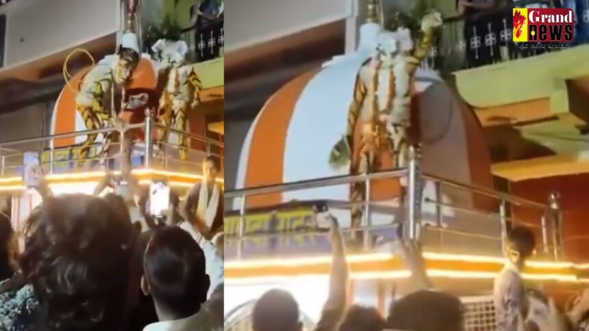 CG : माँ शारदा मंदिर की छत पर मन्नती शेर नाच का विवाद, धार्मिक सौहार्द बिगाड़ने वाले तीन युवक गिरफ्तार 