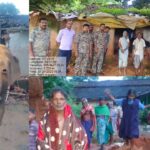CG : रायगढ़ में हाथियों का आतंक, 3 लोगों ले ली जान..... 8 घरों को तोड़ा 