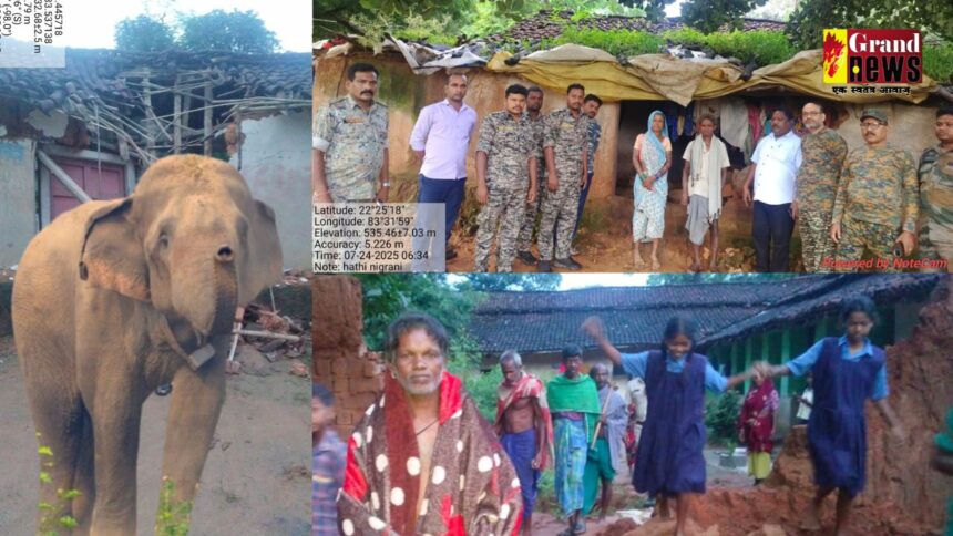 CG : रायगढ़ में हाथियों का आतंक, 3 लोगों ले ली जान..... 8 घरों को तोड़ा 