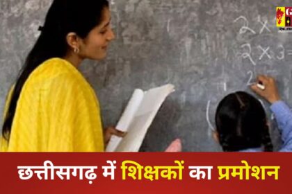 CG Teacher Promotion : स्कूल शिक्षा विभाग में 1227 व्याख्याताओं का प्रमोशन, आदेश जारी