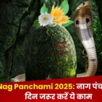 Nag Panchami 2025: नाग पंचमी के दिन जरूर करें ये काम, दूर होगी सभी समस्याएं 