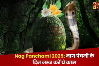 Nag Panchami 2025: नाग पंचमी के दिन जरूर करें ये काम, दूर होगी सभी समस्याएं 