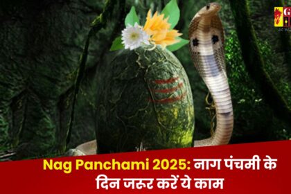 Nag Panchami 2025: नाग पंचमी के दिन जरूर करें ये काम, दूर होगी सभी समस्याएं 