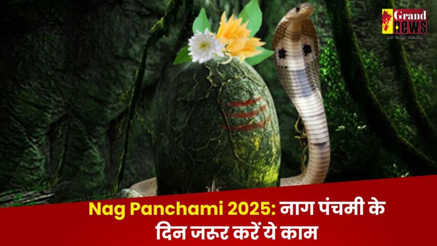Nag Panchami 2025: नाग पंचमी के दिन जरूर करें ये काम, दूर होगी सभी समस्याएं 