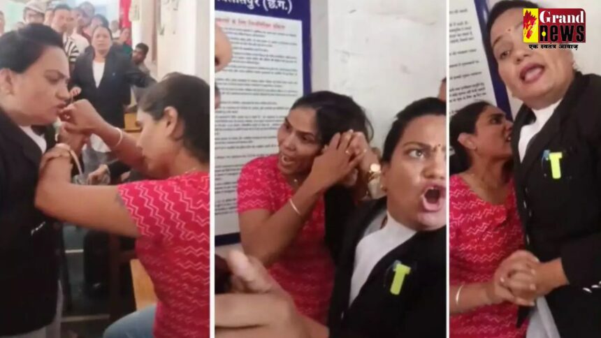 CG VIDEO : फीस लेने के बाद केस क्यों नहीं लड़ा जा रहा.... बस इतना सुनते ही महिला वकील ने क्लाइंट और उसके परिवार की कर दी धुनाई, वीडियो हुआ वायरल 