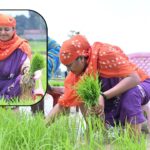 Laxmi Rajwade viral photos : 'सरकार घलो व्हीलचेयर में चलत हे…', धान रोपाई करते सोशल मीडिया पर ट्रोल हुईं मंत्री लक्ष्मी रजवाड़े, कमेंट्स की आई बाढ़