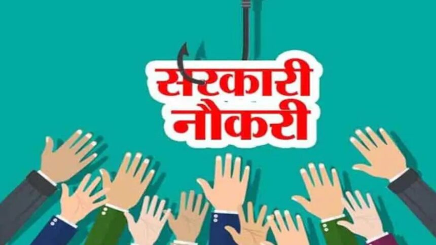 CG Govt Jobs 2025 : युवाओं के लिए सुनहरा मौका; रिक्त पीएलव्ही के 10 पदों पर होगी भर्ती, 12वीं पास भी कर सकते है अप्लाई